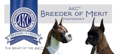 AKC Breeder of Merit